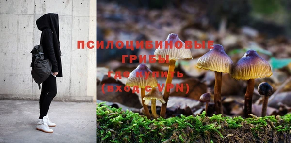 кокаин Алексин