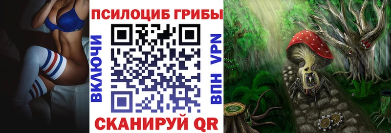 hydra онион  где купить   Сухой Лог  Псилоцибиновые грибы Cubensis 